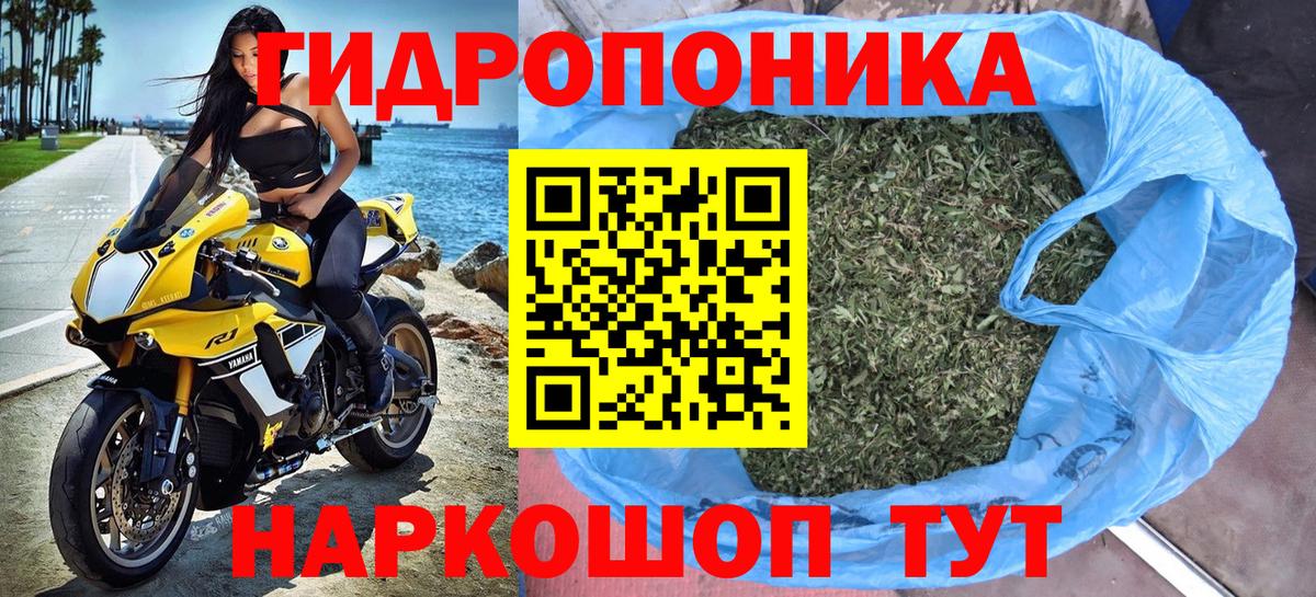 Кулебаки  Канабис ГИДРОПОН  Каннабис OG Kush  Вход с VPN  Шишки марихуана White Widow  Марихуана ГИДРОПОН 